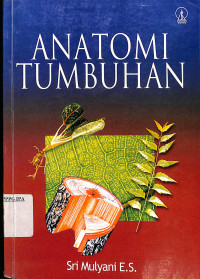 Image of Anatomi Tumbuhan