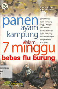 Image of Panen Ayam Kampung dalam 7 Minggu