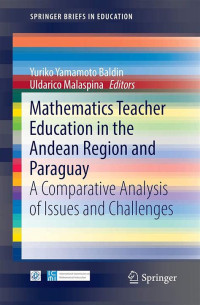 Image of Mathematics Teacher Education in the Andean Region and Paraguay