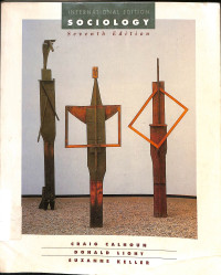 Image of INTERNATIONAL EDITION SOCIOLOGY 
Seventh Edition